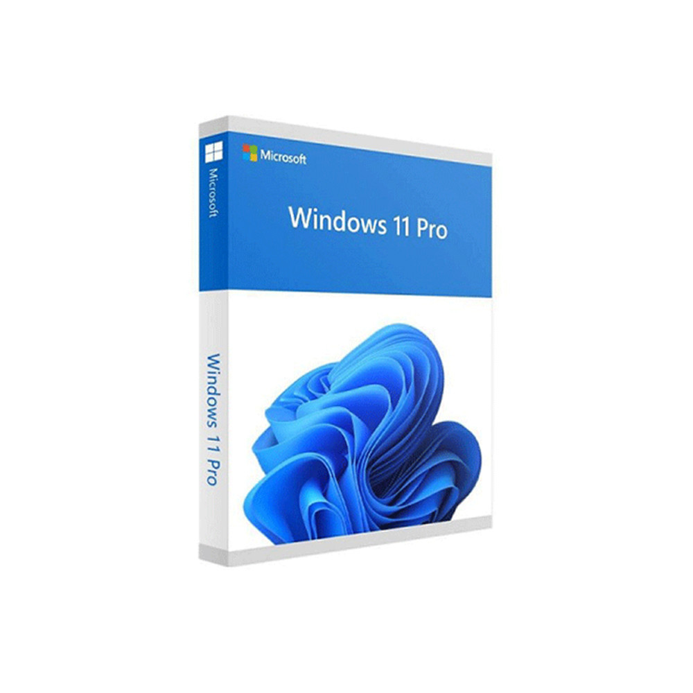 Windows 11 Pro