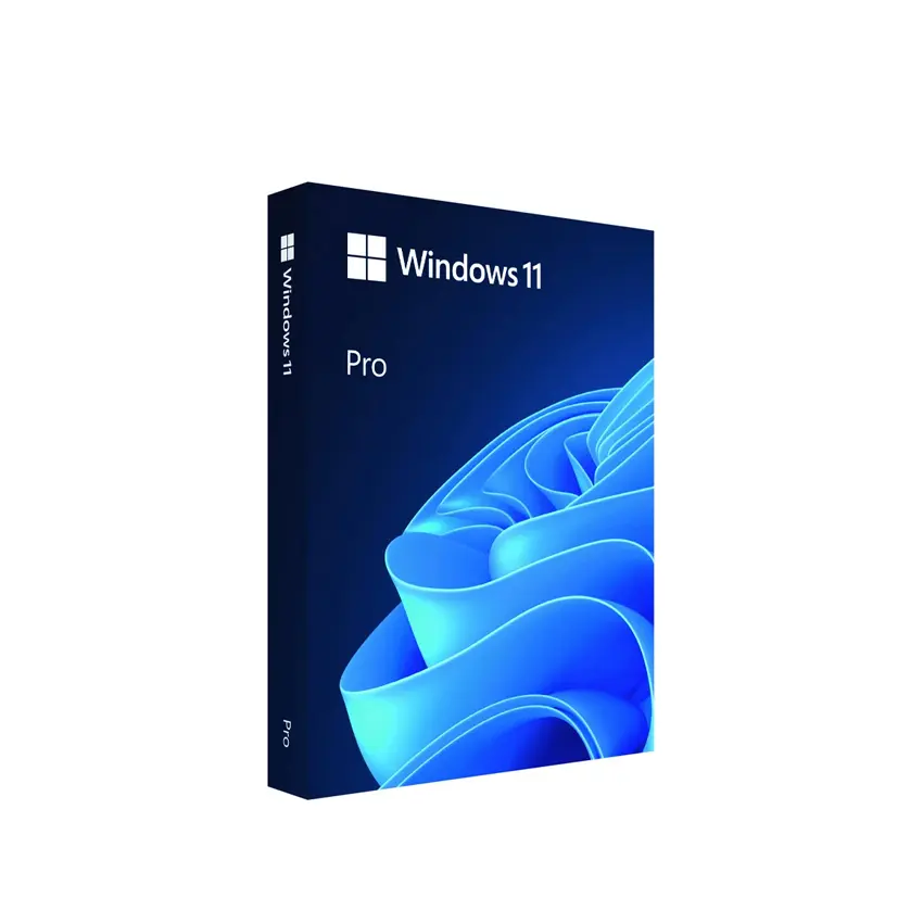 Windows 11 Pro FPP