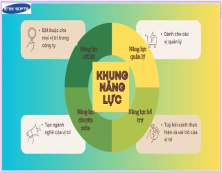 Các bước xây dựng khung năng lực